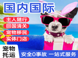 武汉航空货运国际宠物托运 【国